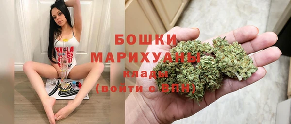дурь Переславль-Залесский