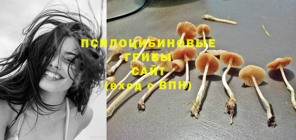 метадон Пересвет