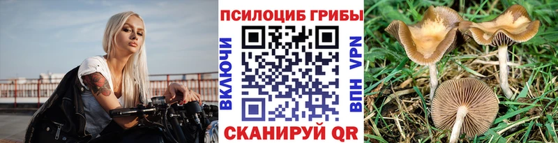 Галлюциногенные грибы Psilocybe  закладка  Скопин 